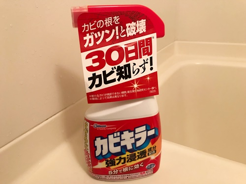 お風呂のエプロンの掃除の洗剤